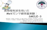 a-takada.sakura.ne.jpa-takada.sakura.ne.jp/upload/20201105_BalSympo.pdf2020/11/05  · Aharonian (1998) Lyutitov+ (2019) X線で見たかに星雲 SMILE-3への要求 有効面積: