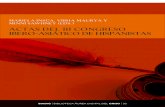 MARIELA INSÚA, VIBHA MAURYA Y MINNI SAWHNEY (EDS.) · 2020. 3. 4. · Mariela Insúa, Vibha Maurya y Minni Sawhney (eds.), Actas del III Congreso Ibero-Asiático de Hispanistas,