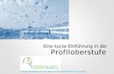 Profiloberstufe - Immanuel-Kant-Schule Reinfeld · 2020. 1. 16. · Title: Profiloberstufe Author: Christian Balk Created Date: 8/15/2019 8:01:33 PM
