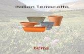 Italian Terracotta - Terra Products Terra Catalog... · Italian Terracotta Tall Standard TS 10”-27cm 12”- 31cm Ribbed Bowl Planter RB 6”-15cm 8”-21cm 10”-27cm 12”-31cm