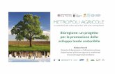 Bioregione: un progetto per la promozione dello sviluppo locale ... … · 2015. 11. 2. · Bioregione: un progetto per la promozione dello sviluppo locale sostenibile Stefano Bocchi