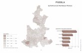 Atlas agropecuario: Pueblainternet.contenidos.inegi.org.mx/contenidos/productos/...Fuente: Mapa Bue XI Cenlo General de Población y Vivienda. 1990 24 LIBRES TEPEYAHUALCO OCOTEPEC