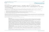 Research Paper Endothelial Klf2-Foxp1-TGFβ signal mediates ...2. Department of Cardiology, Shanghai East Hospital, Tongji University School of Medicine, Shanghai, China. 3. Institute