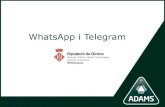 WhatsApp i Telegram...Ambdós, xats i missatgeria instantània, permeten als usuaris conversar més ràpidament i fàcilment mitjançant un format de missatges curts i en temps real.