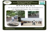 Rapport d'activit s JMZH 2012 Vthib - Ramsar...Rapport d’activité : Journée Mondiale des Zones Humides - 2012 RENATURA et la protection de la mangrove en République du Congo Rénatura