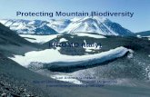Protecting Mountain Biodiversity IPROMO (Italy) · Chucapaca Bolivia (Patacamaya) 2.55 White 2.0 (0.3) CICA Argentina (Salta) 1.73 Yellow 2.0 (0.2) Kamiri Bolivia (Patacamaya) 3.55