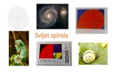Arhimedova spirala Logaritamska spirala Fibonaccijeva spirala Spirala … · 2019. 2. 6. · • Spira mirabilis (čudesna spirala) • Najčešća i najzanimljivija krivulja koja
