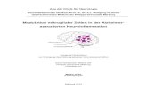 Modulation mikroglialer Zellen in der Alzheimer- assoziierten …archiv.ub.uni-marburg.de/diss/z2013/0643/pdf/dmg.pdf · 2013. 10. 31. · 2.4 Die Aktivierung der Ca2+-aktivierten