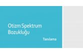 Otizm Spektrum Bozukluğu - Ankara Üniversitesi · 2018. 2. 22. · OSB’si olan çocukların %30’u bu araç ile ayırt edilememektedir. 18 ay-35 yaş arasındaki otizmli bireyler