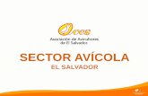 SECTOR AVÍCOLA - EconomistVision · 2020. 10. 20. · Importancia del Sector Avícola •Motor de Desarrollo Agrícola y Agroindustrial. •Impulsor de encadenamientos productivos.
