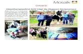 Vorlage Newsletter neu3 - mosaik-web.org€¦ · DANKE Hippotherapiepferd Zotti trägt die Megasus Horserunners Unser Zotti war auf Grund eines Hufabszesses im Krankenstand. Dank