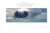Les îles océaniques - WordPress.com...Les iles sont de plus soumises à de nombreux aléas naturels : volcanisme, cyclones, tsunamis… Du point de vue de la Biologie, de nombreuses