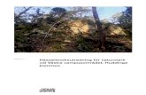 Hasselsnoksutredningför naturmark 2020-01-15 vid Västra … · 2020. 5. 13. · rekoms av möjliga livsmiljöer för hasselsnok. Syftet med denna rapport är att beskriva om det