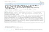 Genomic mutational analysis of the impact of the classical ......RESEARCH ARTICLE Open Access Genomic mutational analysis of the impact of the classical strain improvement program