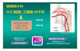 頭頸部外科 のど（喉頭･下咽頭）の手術 - Aichi Prefecture...頭頸部外科 のど（喉頭･下咽頭）の手術 食物摂取の道と 呼吸の道が 交差している