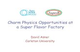Charm Physics Opportunities at a Super Flavor Factory · 2007. 8. 8. · Charm, Aug 5-8, 2007 Charm Physics @ SuperB 2 What is in a name? •A Super Flavor Factory really is a more