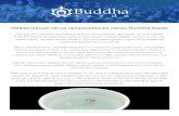 ˆˇ˘ ˛˙ ˆˇ ˘ˆ ˛ ˘ Buddha Seeds · 2018. 9. 6. · ˜˚˚˛˝˙ˆˇ˘ ˛˙ ˆˇ ˘ˆ ˛ ˘ Buddha Seeds ˜˚˛˚˝˙ˆˇˆ˘ ˙ ˝ ˝ ˝ ˇ˙˝ ˛ ˛ ˙ ˛ ˘ ˇ ˇ ˆ˛
