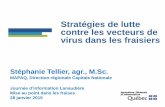 Stratégies de lutte contre les vecteurs de virus dans les fraisiers - … · 2015. 4. 8. · Stratégies de lutte contre les vecteurs de virus dans les fraisiers Stéphanie Tellier,