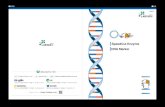 SpeedCut Enzyme DNA Marker - LABTAS...SpeedCut Bufferシステム 【SpeedCut Enzyme処理実験例】 図1.BamH I単独でのプラスミド切断 M: DNA Marker 5000 C: pUC19プラスミド