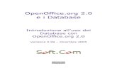 ...OpenOffice.org 2.0 & i Database - © 2005 Filippo Cerulo – Soft.Com Sas  - email: filippo.cerulo@softcombn.com OpenOffice, MySql e PostgreSQL sono ...