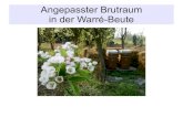 Angepasster Brutraum in der Warré-Beute · 2013. 11. 21. · – dadurch wenig Anreiz für die Bienen, den Nektar und Pollen seitlich einzulagern. – verbesserte Trennbarkeit zwischen