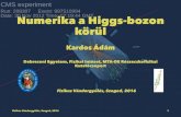 Numerika a Higgs-bozon körültitan.physx.u-szeged.hu/fizikus_vandorgyules_2016/sites... · 2016. 9. 6. · Numerika a Higgs-bozon körül Kardos Ádám Debreceni Egyetem, Fizikai