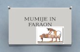 MUMIJE IN FARAON - Prvi šolski portal | Dijaški.net · 2019. 6. 5. · MUMIJE. MUMIFICIRANJE OMumifikacija je postopek ohranitve mumij organizmov ali odlitkov mumij organizmov v