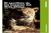 INFORME El sacrificio de los bosques del Gran Chaco FINAL El... · 2019. 7. 30. · El sacrificio de los bosques del Gran Chaco Índice Resumen Ejecutivo. Exportación ganadera: el