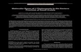 MolecularBasesof β-ThalassemiaintheEastern …downloads.hindawi.com/journals/bmri/2005/234636.pdf · 2019. 8. 1. · 2005:4 (2005) β-Thalassemia Mutations 323 Table 1. β-thalassemia