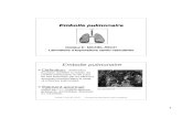 Embolie pulmonaireslimshady67.free.fr/.../embollie%20pulmonaire.pdf · 2012. 3. 17. · Embolie pulmonaire Définition: oblitération brusque, partielle ou totale, de l’artère