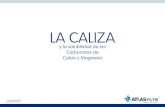2 CALIZA Layout 1 - Atlas Filtri · 2018. 9. 3. · 1 CONFIDENCIAL PRINCIPALES PROBLEMAS † Caliza = Aislante (pérdida de rendimiento térmico) † Caliza = Antagonista de los tensoactivos