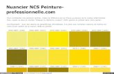 Nuancier NCS Peinture- professionnelle · 2020. 1. 4. · open in browser PRO version Are you a developer? Try out the HTML to PDF API pdfcrowd.com Nuancier NCS Peinture-professionnelle.com