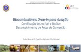 Biocombustíveis Drop-In para Aviação · Biocombustíveis Drop-In para Aviação Certificação de Jet fuel e BioQav Desenvolvimento de Rotas de Conversão Profa. Vânya M. D. Pasa