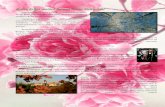 Rožių kelias maldos lietumi lietas: Palendriaisilentium.lt/assets/2018_05_05-palendriai.pdf · 2020. 5. 20. · Vėliau Benediktas persikėlė ant Kasino kalno (Monte Cassino),