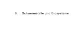 6. Schwermetalle und Biosysteme - HZDR · 2010. 6. 30. · Schwermetall. Nichtessentielles. Schwermetall. Organische Umweltchemikalien-Organika ... Tenside Oberflächenaktive, waschaktive