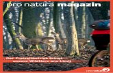 pro natura magazin · 2018. 3. 1. · Pro Natura Magazin 2/2018 3 4 thema 4 Begrenzt anpassungsfähig: Wildtiere weichen dem Freizeitbetrieb aus und verlieren so an Lebensraum. 6