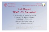 Lab Report TEMF - TU Darmstadt · 2004. 1. 21. · 4 TEMF, TU Darmstadt TESLA Meeting, DESY, Zeuthen, 01/21/04 Parameters used for Simulations (1) EAcc = 42 MV/m, ϕ= 33° •RF-Gun