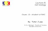 Lecture 8. Cell biology · 2015. 5. 28. · Cell biology By. Tutor J.pop B. Sc. (Biology) Faculty of Science ... - ภายในมี DNA ซึ่งท าให้สามารถสังเคราะห์ตัวเองได้