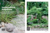 Luonnonkiviä kotipihaan - Etusivu - Kotipuutarha · 2017. 7. 31. · Pienikokoiset kivikorit käyvät puutarhaan tilanjakajiksi, muureiksi tai kalusteiden jalustaksi. Koreihinkin