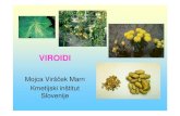 VIROIDIDo sedaj je znanih okrog 30 vrst viroidov. Viroidi so najmanjši rastlinski patogeni. So kovalentno zaprte krožne molekule RNA velikosti od 246 do 401 baz. Ne kodirajo peptidov