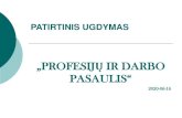 PASAULIS“ - Gorkiogorkio.lt/uploads/Pristatymas 2.pdf · 2020. 6. 14. · TIKSLAS: Padėti mokiniams ugdytis karjeros kompetencijas, būtinas sėkmingam mokymosi krypties, profesijos