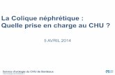 La Colique néphrétique : Quelle prise en charge au CHUurologie-chu-bordeaux.fr/wp-content/uploads/2014/04/... · La notion de colique nephretique compliquée regroupe les coliques