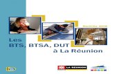 Onisep BTS, BTSA, DUT à La Réunion · 2018. 2. 27. · 4 Les BTS, BTSA, DUT à La Réunion entrée 2 Le BTS (BTSA pour l'enseignement agricole) vise une cible professionnelle et