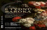 6 TÝDNŮ BAROKA - Plzen 2015 · 2015. 2. 4. · Festival 6 týdnů baroka slavnostně otevře komponovaný večer do-bových zábav Barokní noc v Nebílovech ve čtvrtek 3. července