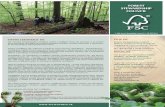 FOREST STEWARDSHIP COUNCIL · 2016. 3. 5. · ČO JE FSC Forest Stewardship Council (FSC) je medzinárodná nezisková organizácia, ktorá poskytuje ľuďom s rôznymi záujmami