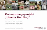 Entwurmungsprojekt „Hauser Kaibling“...2015/10/23  · asdsad Author Stanitznig Anna Created Date 10/28/2015 10:04:00 AM ...