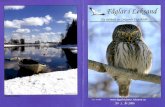 Leksands Fågelklubb i PDF... · 2010. 11. 10. · av kritiken gick ut på att vi var allt för återhållsamma och "snälla" mot skogsindustrin. Vi tar åt oss av den kritiken och