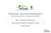 Parashat Shemot Mishpatim...• Shemot –Éxodo Cap. 21:1 al 24:18 –2 Melajim 11:17 al 12:17 • Dios promete que va a conducir al Pueblo Judío a Israel, ayudándolo a conquistar