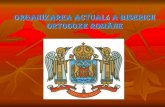Organizarea Bisericii Ortodoxe Române...2020/05/15  · pentru organizarea şi funcţionarea Bisericii Ortodoxe Române. A reeditat Biblia (1968, 1975). A iniţiat apariţia revistelor