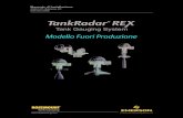 Tank Gauging System - Emerson...Rosemount TankRadar REX Contenuti TOC-4 Manuale di Installazione 308014IT, Edizione 2C febbraio 2008 11. INSTALLAZIONE ELETTRICA DEI MISURATORI REX